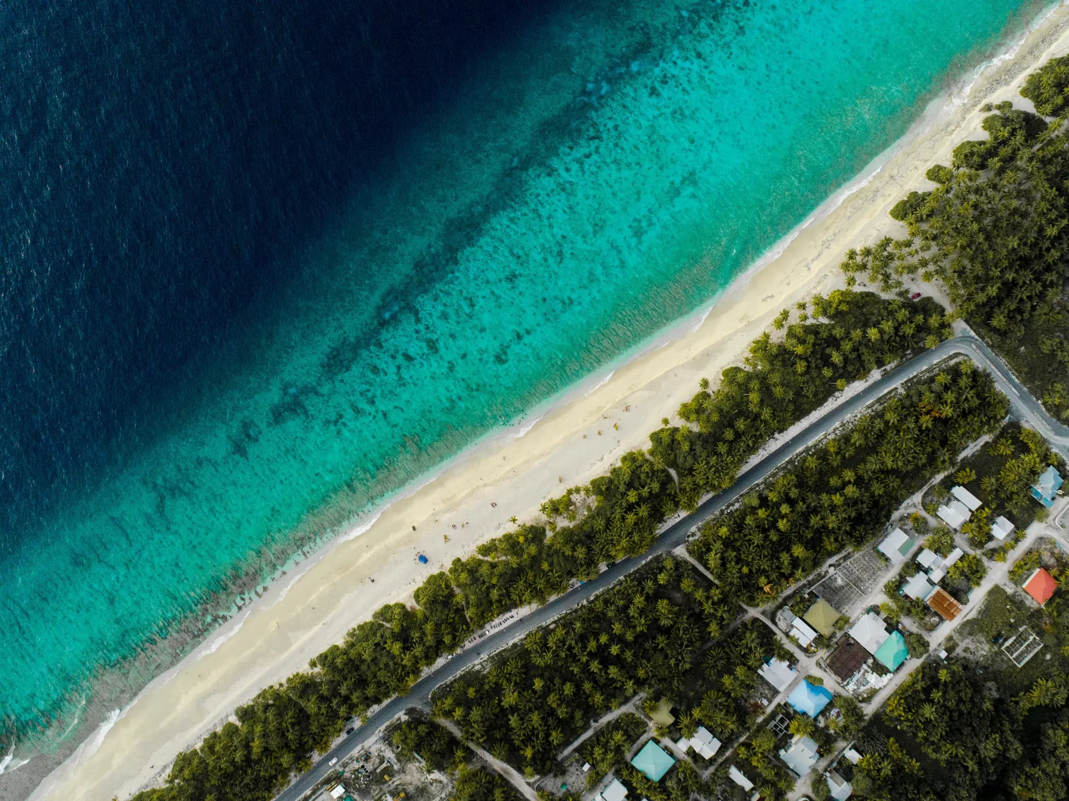 The coast road, palms and houses from above