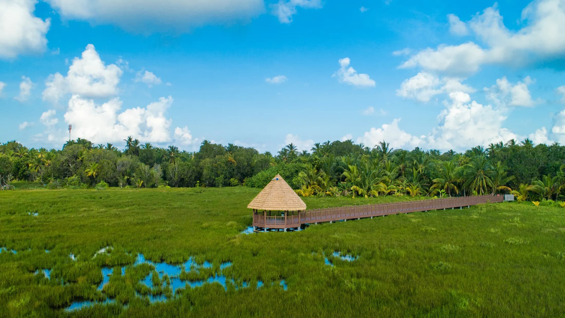 A thatched hut on the boardwalk in the wetland