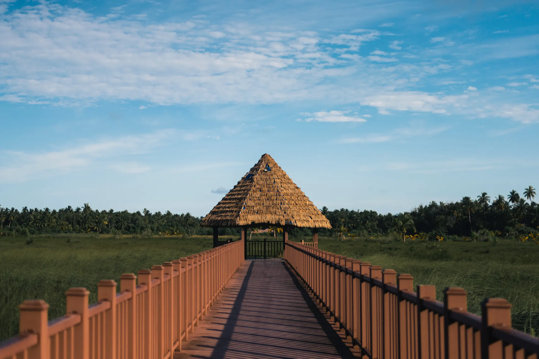 The wooden boardwalk leading to the wetland hut
