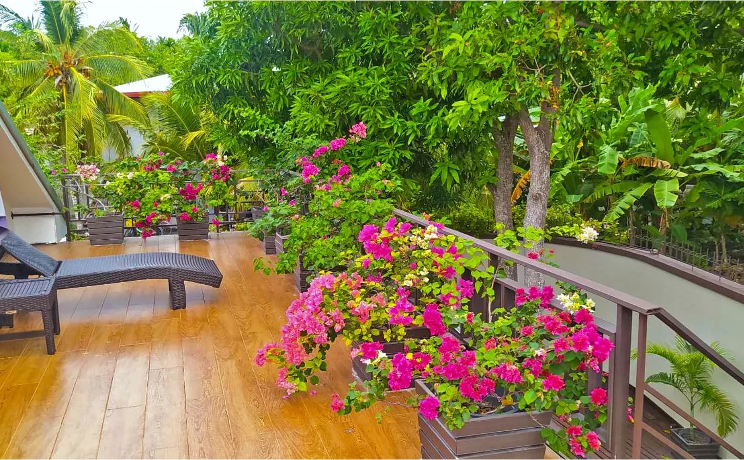The flower-lined rooftop terrace